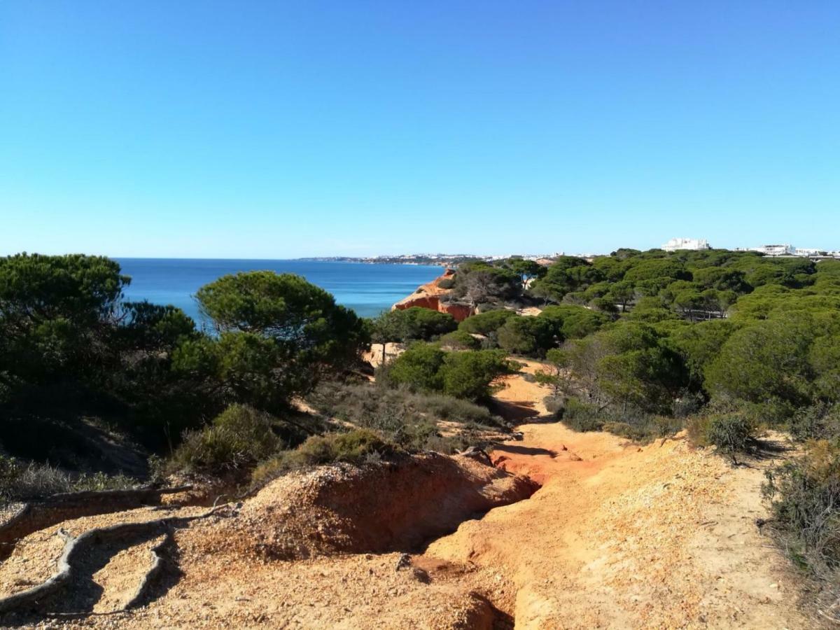 Algarve Friendly Apartment Albufeira Buitenkant foto